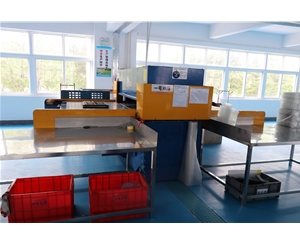 吸塑包(bao)裝生産車間(jiān)